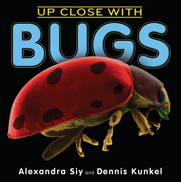 Up close with bugs
