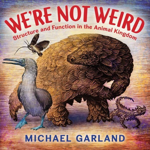 We're not weird : structure and function in the animal kingdom